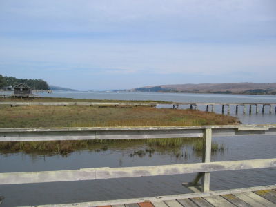 View of Tomales Bay from IYC dock